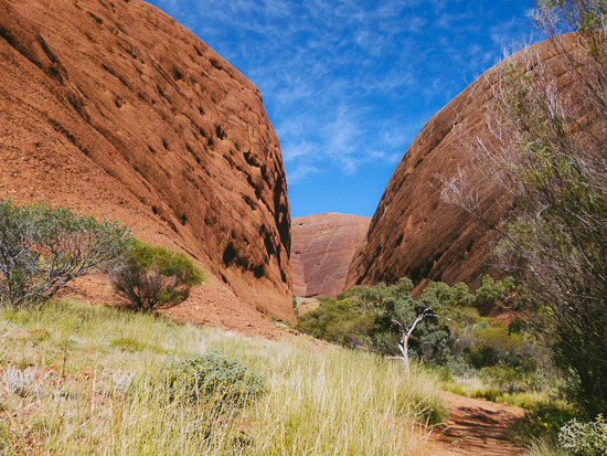 Australien-Outback-Uluru-Wayoutback-Tour